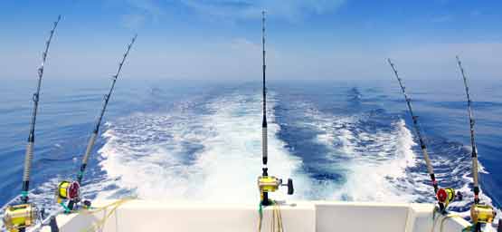 Sport Fishing Tours