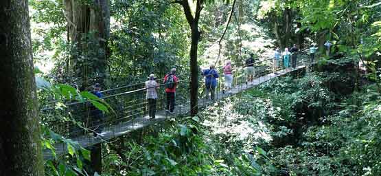 The Skywalk Tour