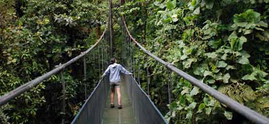 The Skywalk Tour