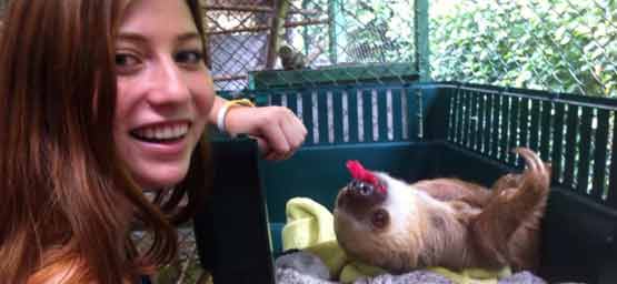 The Sloth Sanctuary Tour