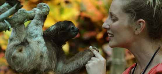 The Sloth Sanctuary Tour
