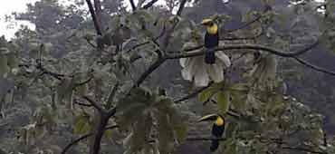 The Eco-System Bird Watching Tour