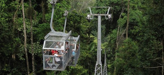 The Veragua Rainforest Tour